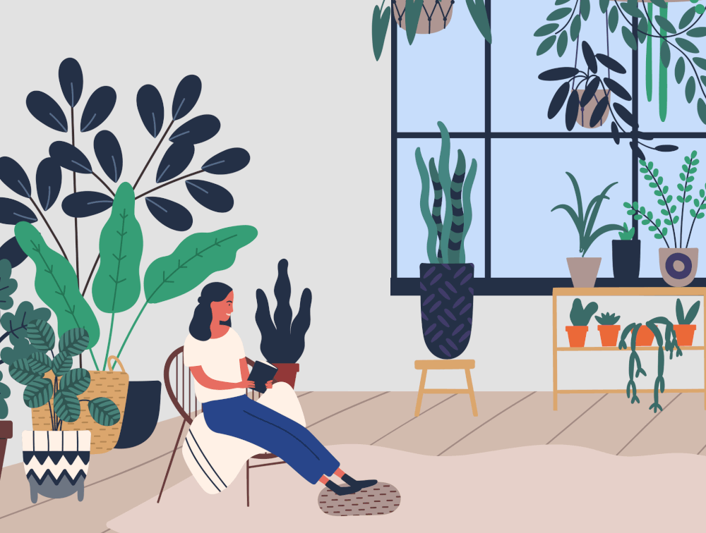 5-ideias-plantas-quarto-plantwave-14 5-ideias-plantas-quarto-plantwave-14