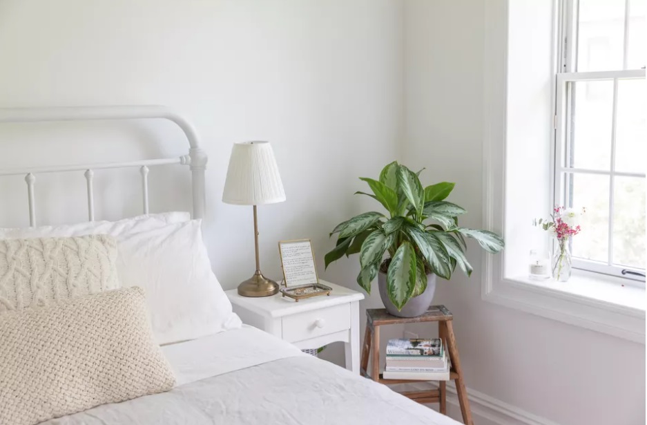 5-ideias-plantas-quarto-thesruce-21 5-ideias-plantas-quarto-thesruce-21
