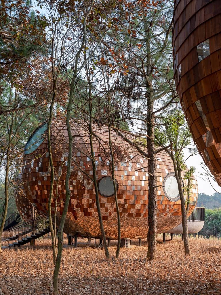 Floresta na China é repleta de cabanas em forma de semente