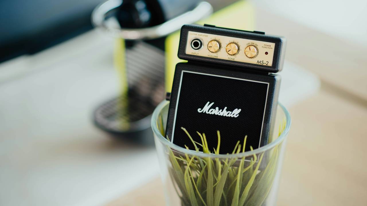 Spotify lança playlist para plantas