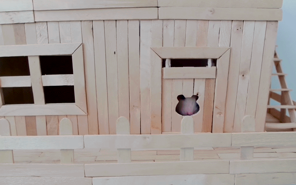 Este hamster tem o sobrado mais fofinho, feito de palitos de sorvete