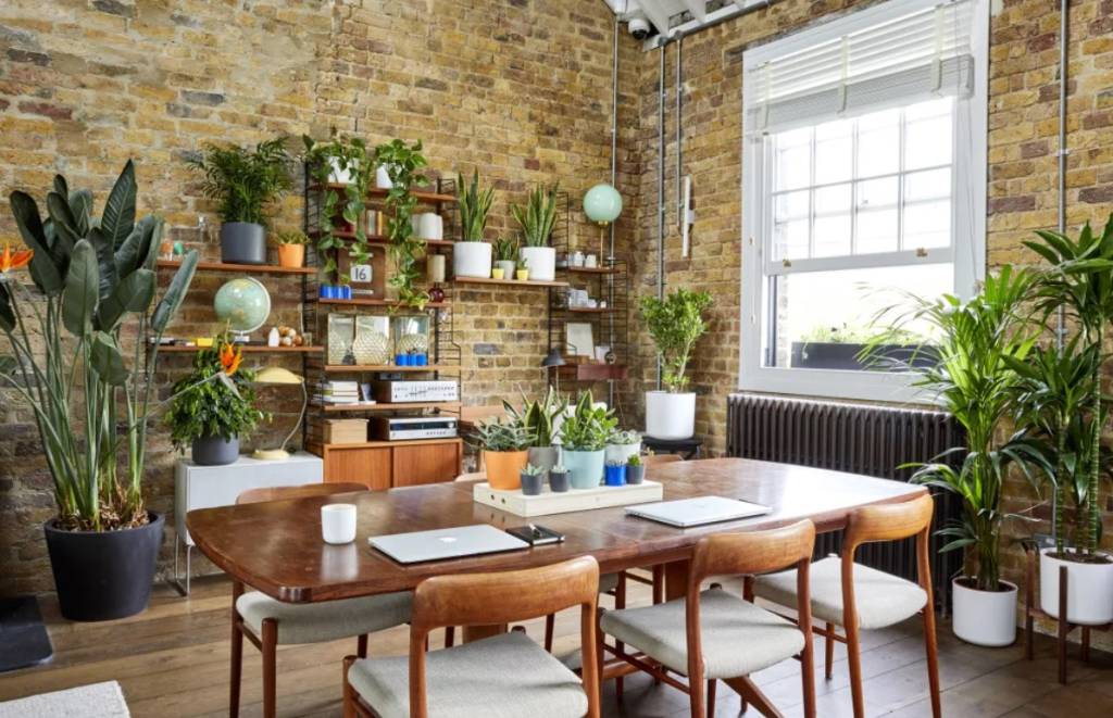 urban-jungle-patchplants urban-jungle-patchplants