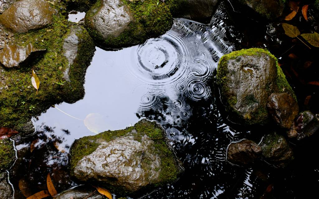 4-formas-de-captar-agua-da-chuva-e-reaproveitar-aguas-cinzas-02 4-formas-de-captar-agua-da-chuva-e-reaproveitar-aguas-cinzas-02