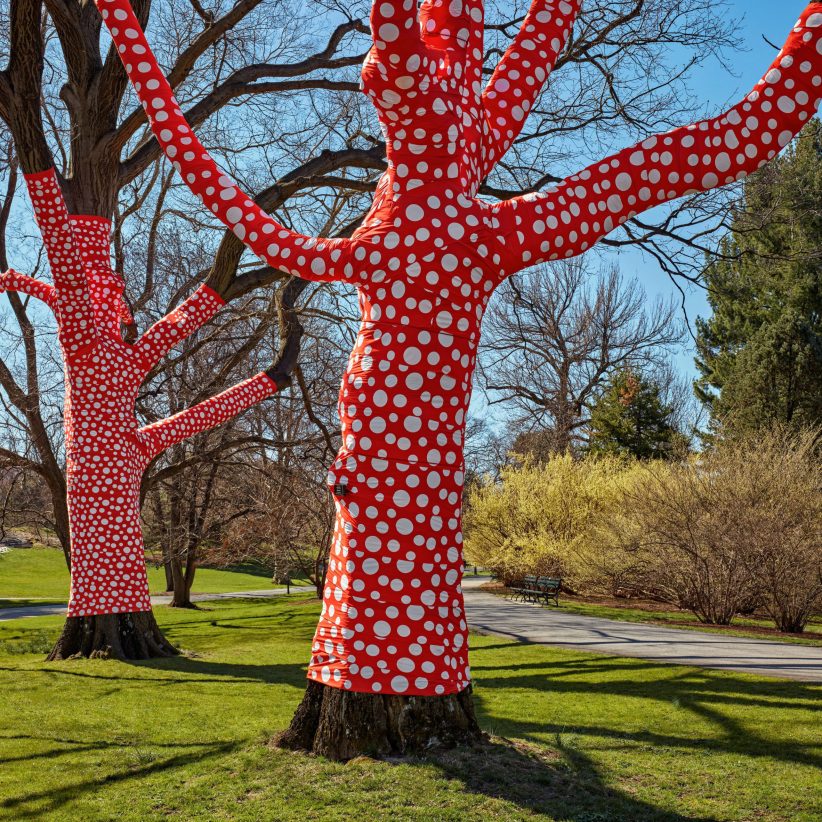 Yayoi-Kusama-envolve-as-árvores-do-Jardim-Botânico-de-Nova-York-com-bolinhas-dezeen 02 Yayoi-Kusama-envolve-as-árvores-do-Jardim-Botânico-de-Nova-York-com-bolinhas-dezeen 02