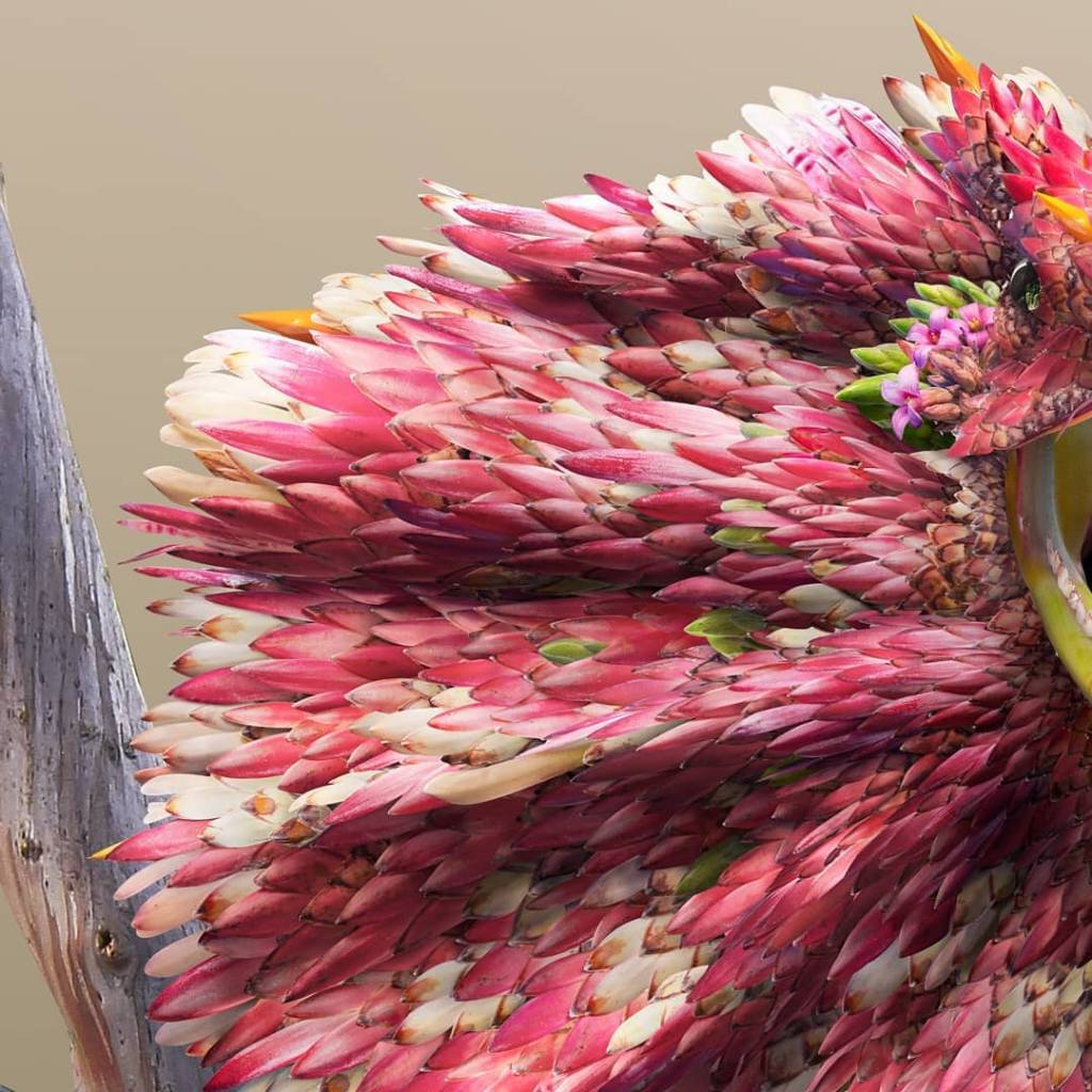 animais-fotografias-realistas-petalas-de-flores-mymodernmet-03 animais-fotografias-realistas-petalas-de-flores-mymodernmet-03