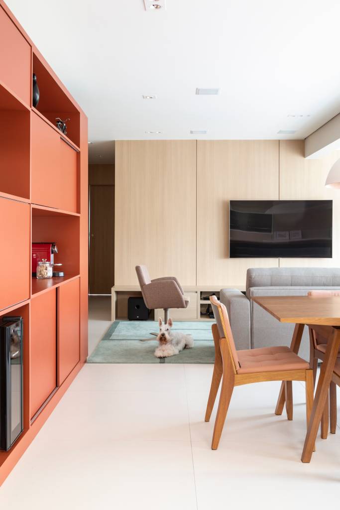 modernidade-e-leveza-no-decor-casa.com _MG_2306 O sofá cinza é adornado com duas almofadas verde claro e duas brancas. No chão, um tapete verde. Do lado esquerdo, armário na cor goiaba