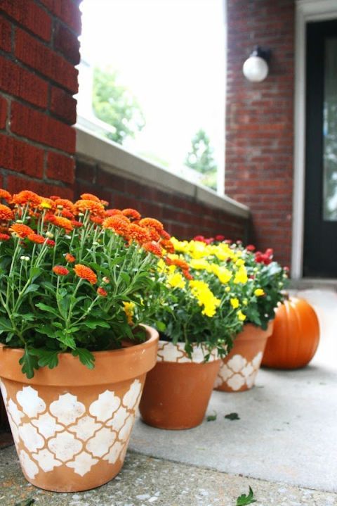 vaso de plantas decorados com técnica de estêncil