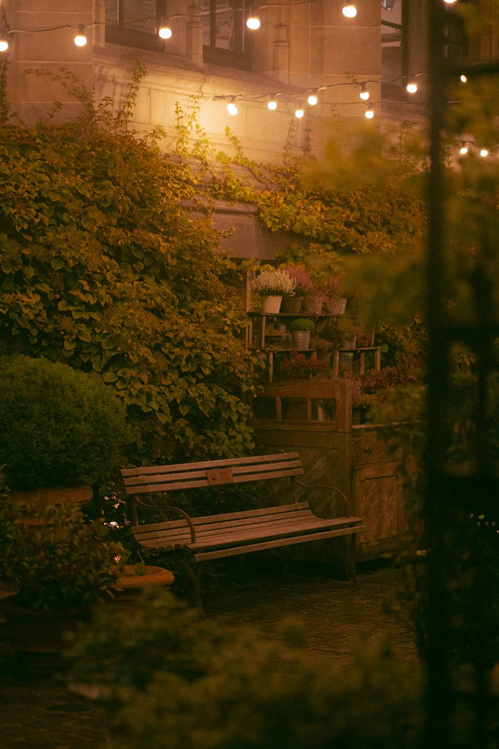 Voce-ja-ouviu-falar-em-jardim-da-lua-02 Você já ouviu falar em “jardim da lua”?