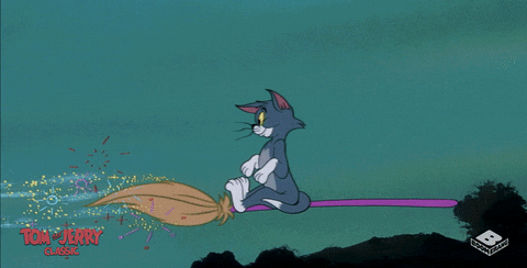 se-voce-utiliza-vassoura-pare-dicas-limpeza-gato-02 Gif de vassoura de bruxa