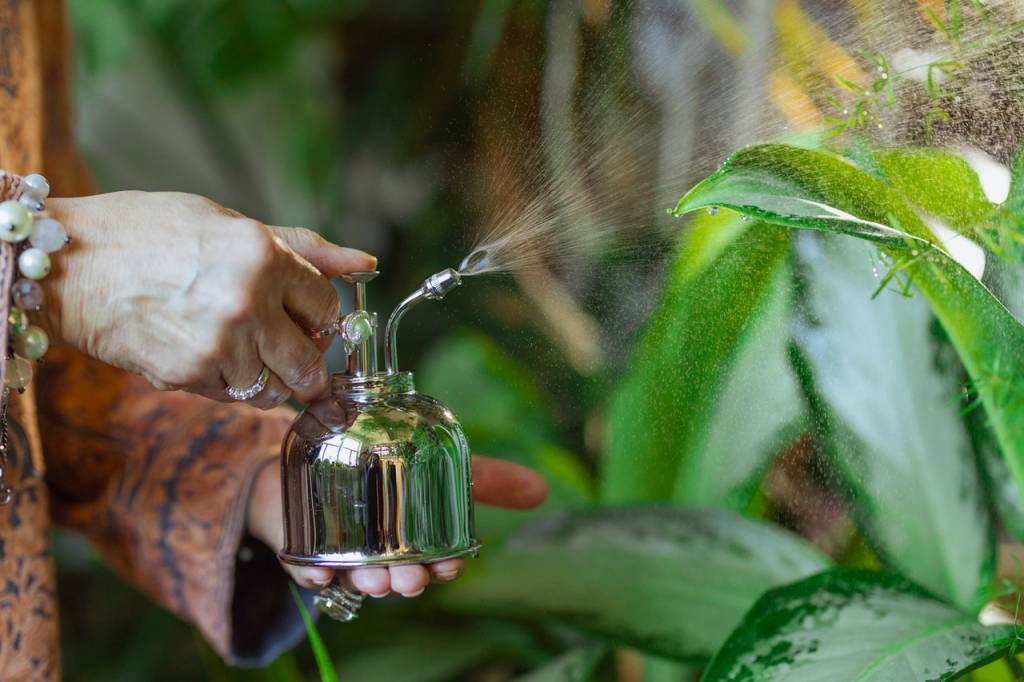 4-qual-e-a-melhor-hora-para-regar-as-suas-plantas 4-qual-e-a-melhor-hora-para-regar-as-suas-plantas