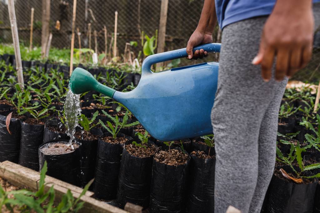 6-qual-e-a-melhor-hora-para-regar-as-suas-plantas 6-qual-e-a-melhor-hora-para-regar-as-suas-plantas