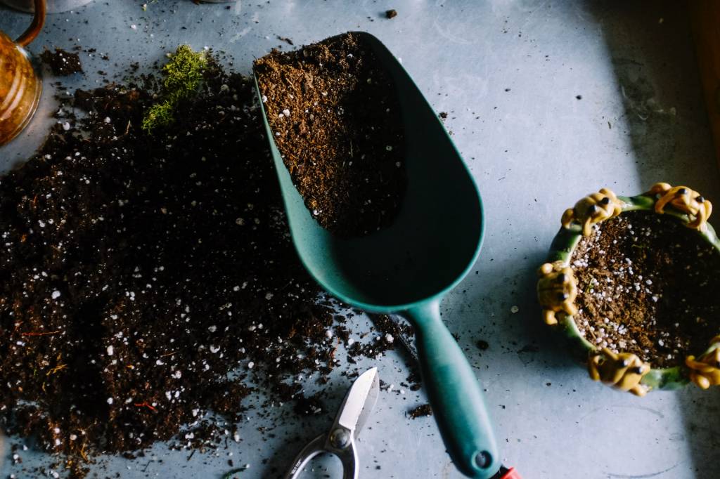 Como-saber-se-está-na-hora-de-replantar-sua-planta-unsplash-05 Como-saber-se-está-na-hora-de-replantar-sua-planta-unsplash-05