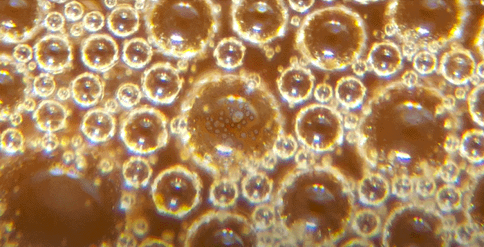 Zoom in: você sabe quais são estes objetos?