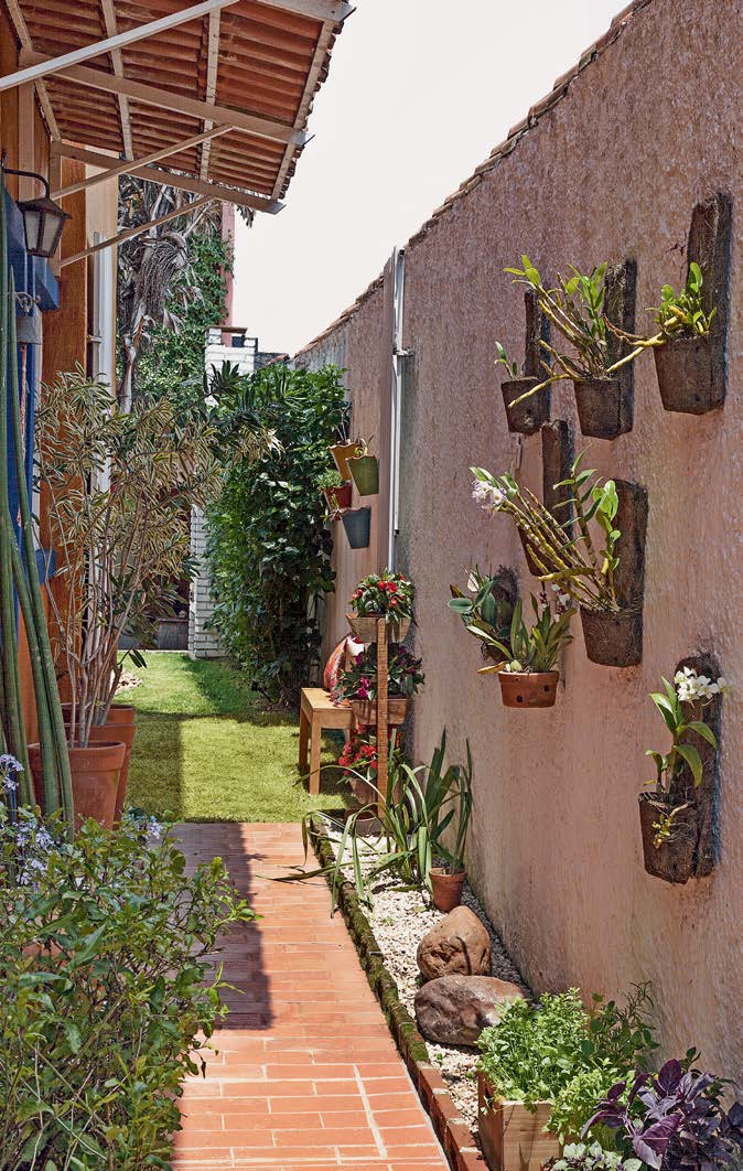 jardim-se-espalha-pelo-quintal-e-corredor06