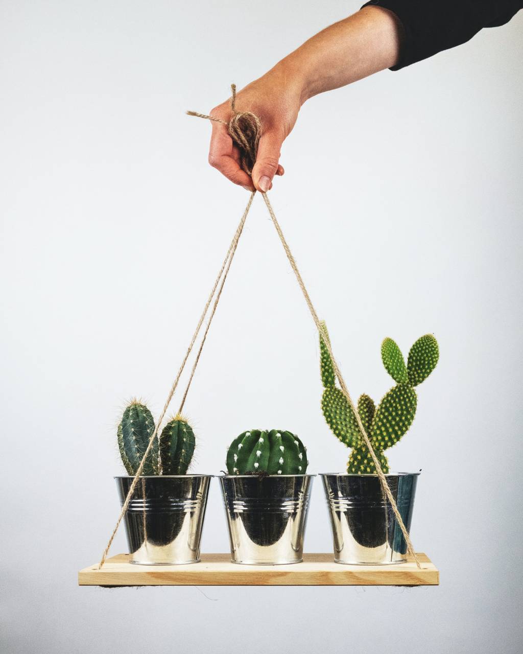 1-o-guia-completo-para-escolher-o-melhor-vaso-para-suas-plantas 1-o-guia-completo-para-escolher-o-melhor-vaso-para-suas-plantas