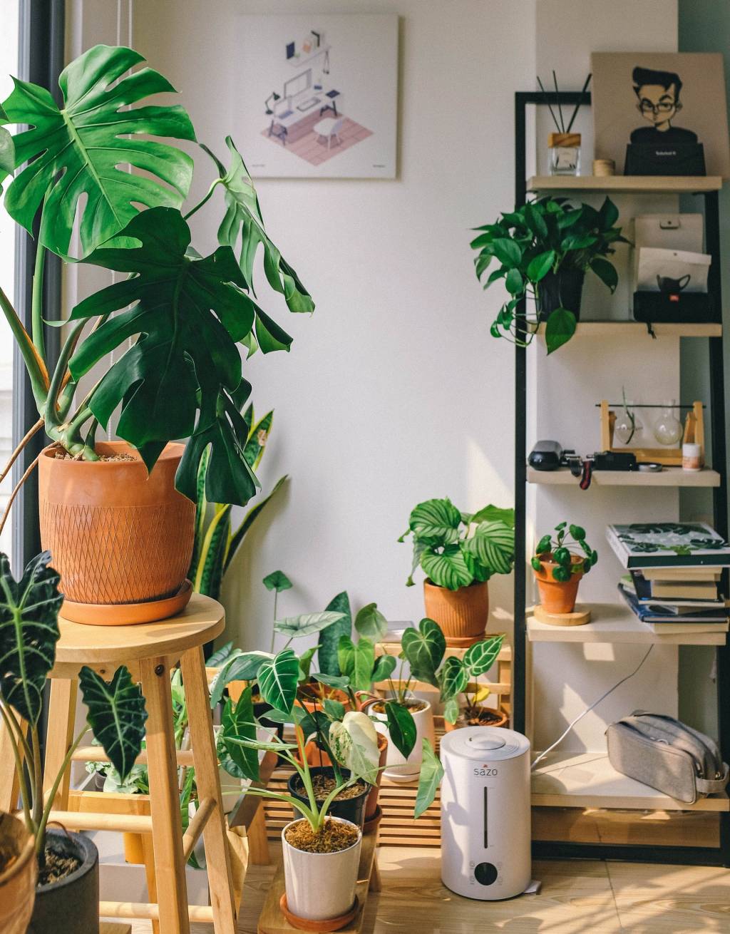 12-o-guia-completo-para-escolher-o-melhor-vaso-para-suas-plantas 12-o-guia-completo-para-escolher-o-melhor-vaso-para-suas-plantas