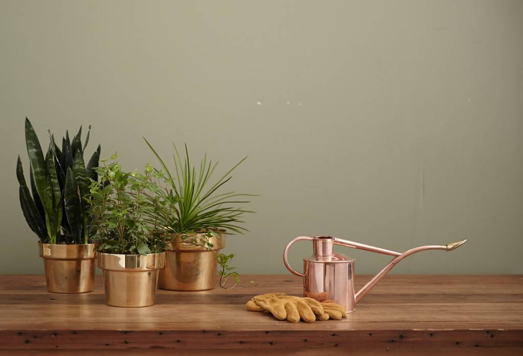 13-o-guia-completo-para-escolher-o-melhor-vaso-para-suas-plantas 13-o-guia-completo-para-escolher-o-melhor-vaso-para-suas-plantas