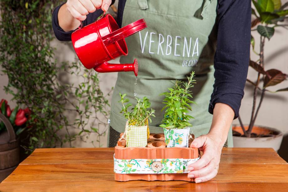 Agora é só cuidar da sua horta e garantir temperos frescos e saborosos para as refeições em casa.