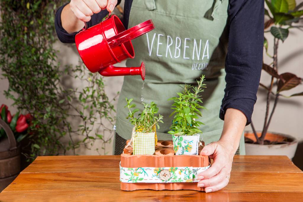 Agora &eacute; s&oacute; cuidar da sua horta e garantir temperos frescos e saborosos para as refei&ccedil;&otilde;es em casa.