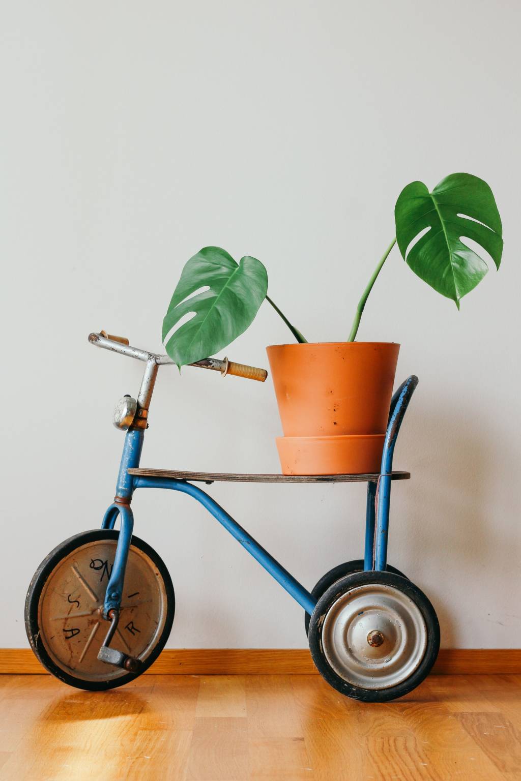 2-o-guia-completo-para-escolher-o-melhor-vaso-para-suas-plantas 2-o-guia-completo-para-escolher-o-melhor-vaso-para-suas-plantas
