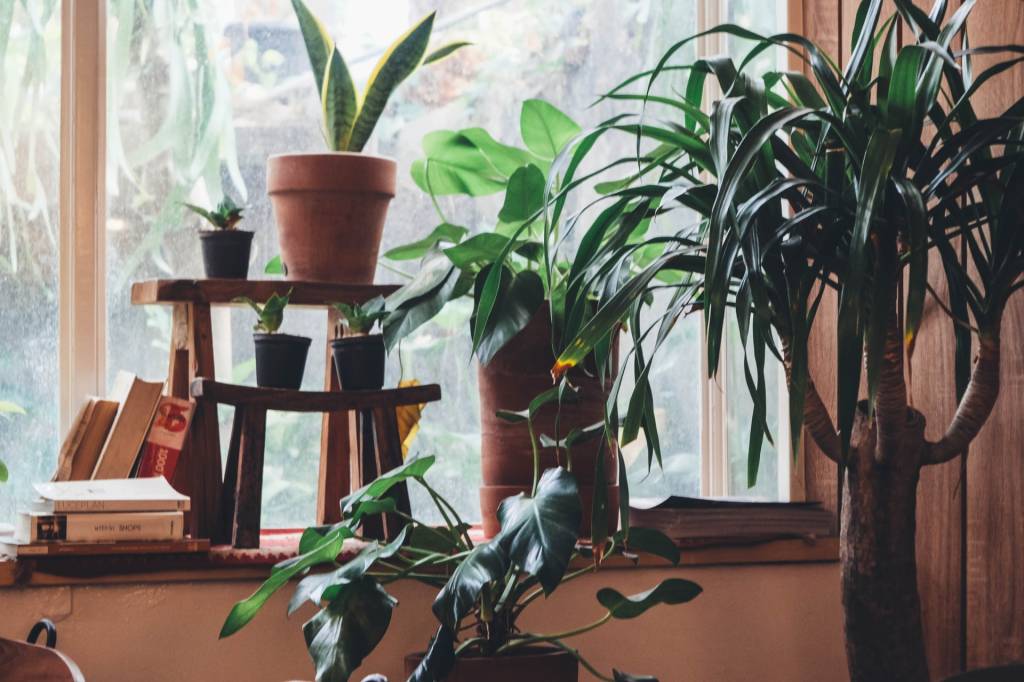 3-o-guia-completo-para-escolher-o-melhor-vaso-para-suas-plantas 3-o-guia-completo-para-escolher-o-melhor-vaso-para-suas-plantas