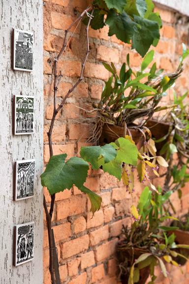 a-vida-acontece-no-quintal1-011