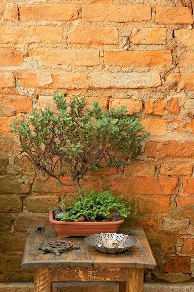 a-vida-acontece-no-quintal1-051