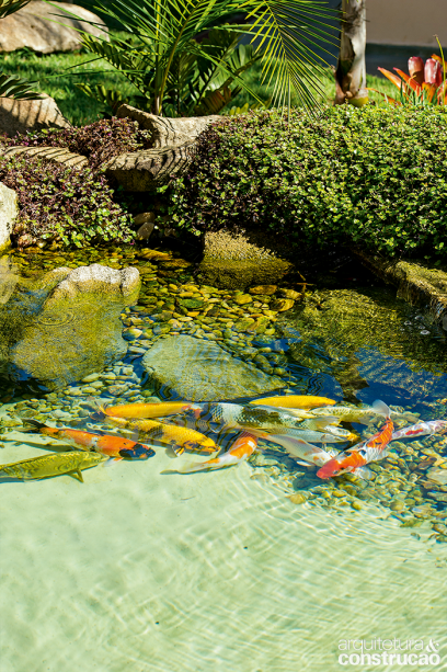 Beleza e prosperidade: de diversos tamanhos, as carpas Nishikigoi nadam livremente. Apreciados pela cor e pelo padrão exuberante, esses peixes chegam a viver 80 anos e são um símbolo de sucesso no Japão. Aqui, eles movimentam as águas e revolvem a sujeira do fundo do tanque para que seja captada pelo sistema de filtragem. Projeto: Genesis Ecossistemas.