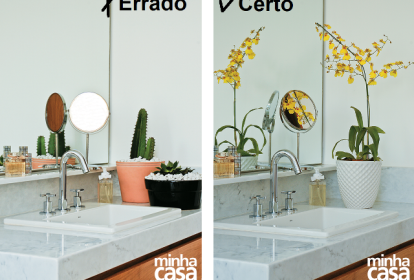 Certo e errado:plantas dentro de casa