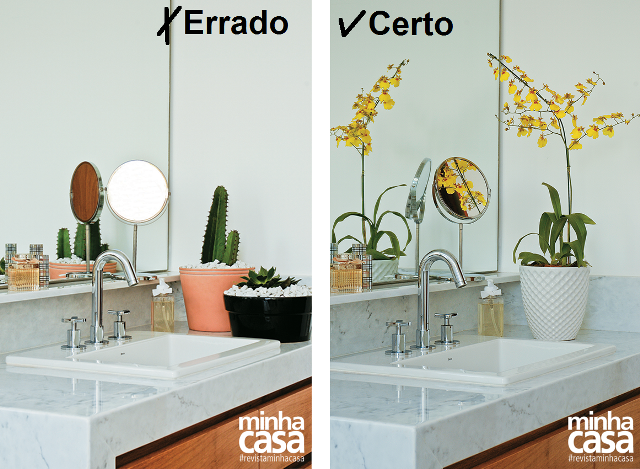 Certo e errado: plantas dentro de casa