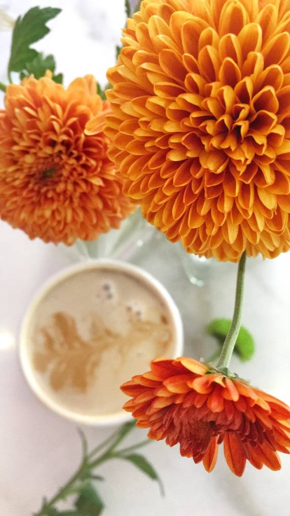 dalia-flores-jardim-dicas-cultivo-pexels-анна-орлова-02 dalia-flores-jardim-dicas-cultivo-pexels-анна-орлова-02