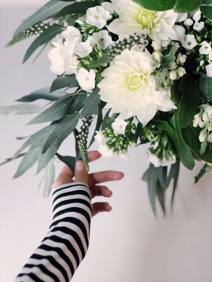 dalia-flores-jardim-dicas-cultivo-pexels-daria-shevtsova dalia-flores-jardim-dicas-cultivo-pexels-daria-shevtsova