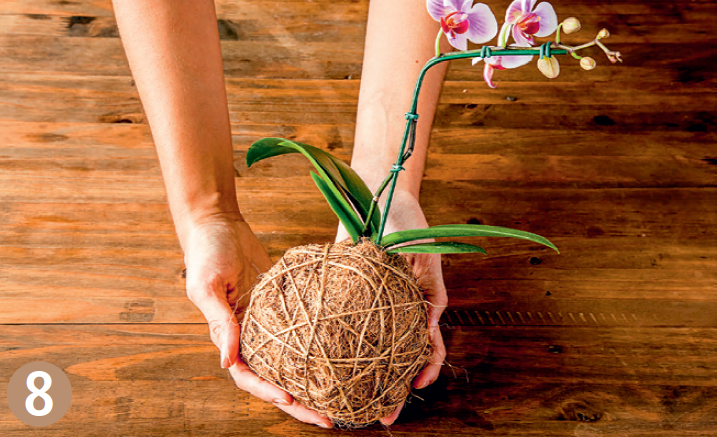 Pegue a ponta do rolo de sisal e dê voltas com o fio de maneira aleatória, fazendo um emaranhado, envolvendo bem toda a bolinha. Corte e dê um nó nas duas pontas. Pegue a ponta do rolo de sisal e dê voltas com o fio de maneira aleatória, fazendo um emaranhado, envolvendo bem toda a bolinha. Corte e dê um nó nas duas pontas.