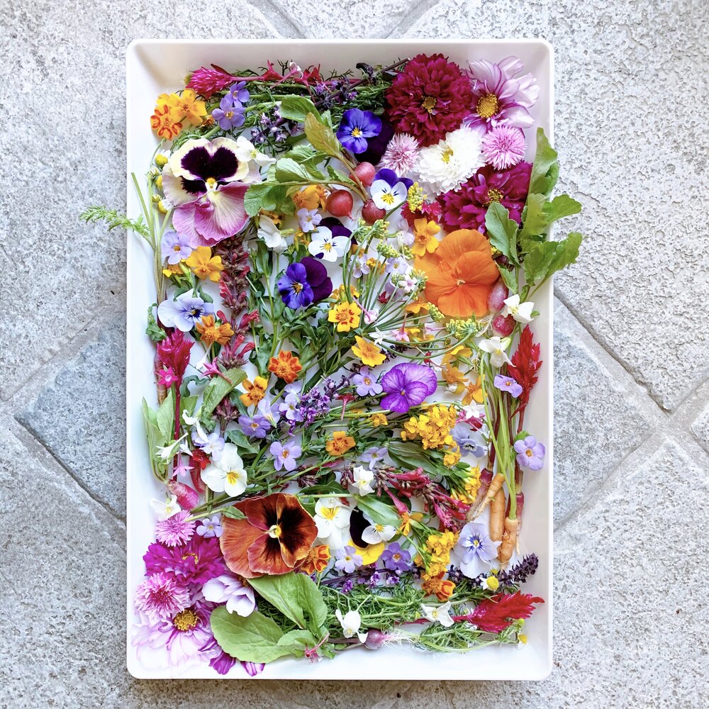 tudo-sobre-plantas-flores-comestiveis-that-cheese-plate