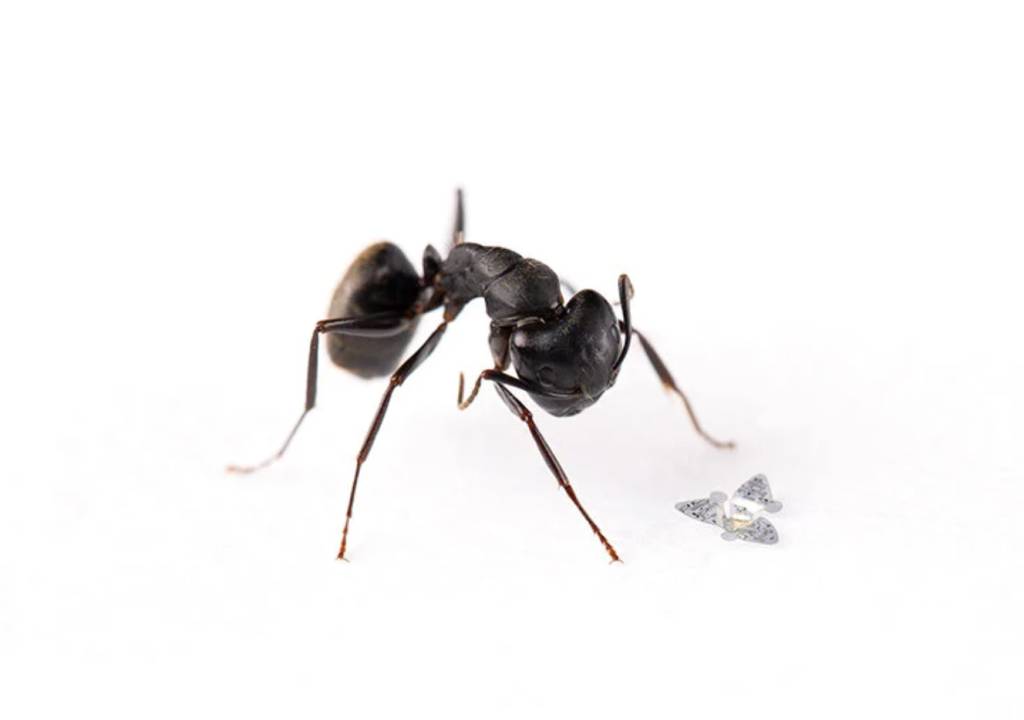 SodaPDF-converted-este-e-um-microchip-voador-que-rastreia-poluicao-e-doencas-casacombr-designboom-2 SodaPDF-converted-este-e-um-microchip-voador-que-rastreia-poluicao-e-doencas-casacombr-designboom-2