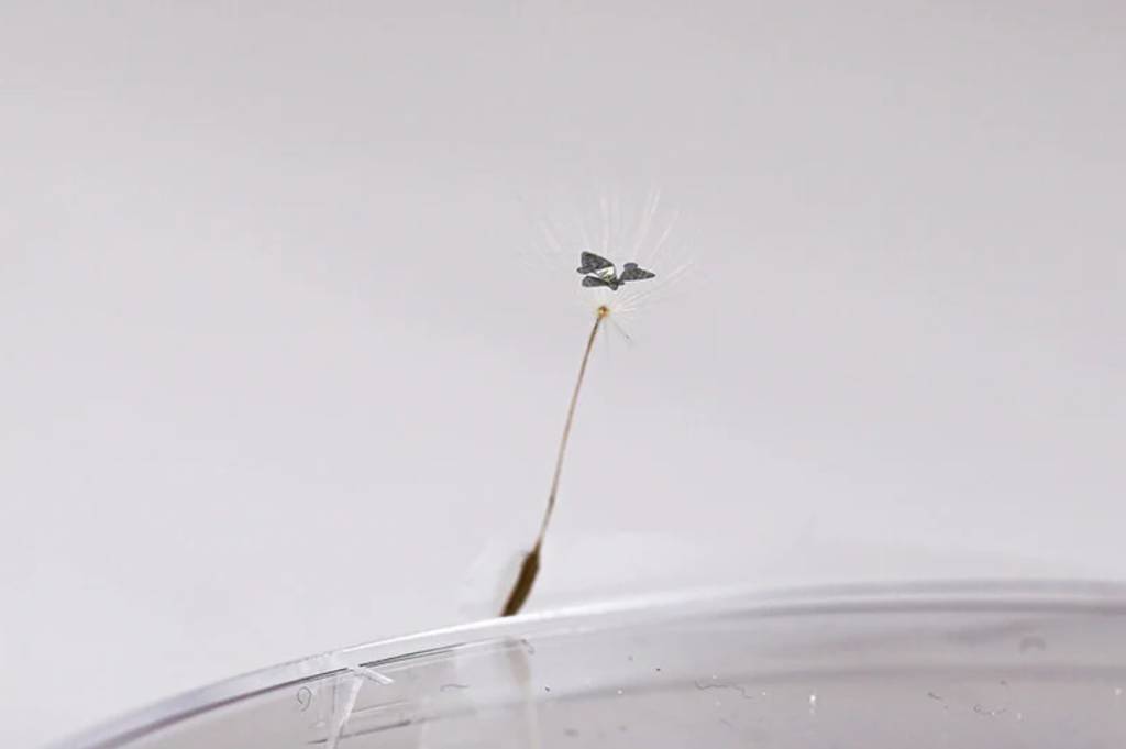 SodaPDF-converted-este-e-um-microchip-voador-que-rastreia-poluicao-e-doencas-casacombr-designboom-3 SodaPDF-converted-este-e-um-microchip-voador-que-rastreia-poluicao-e-doencas-casacombr-designboom-3