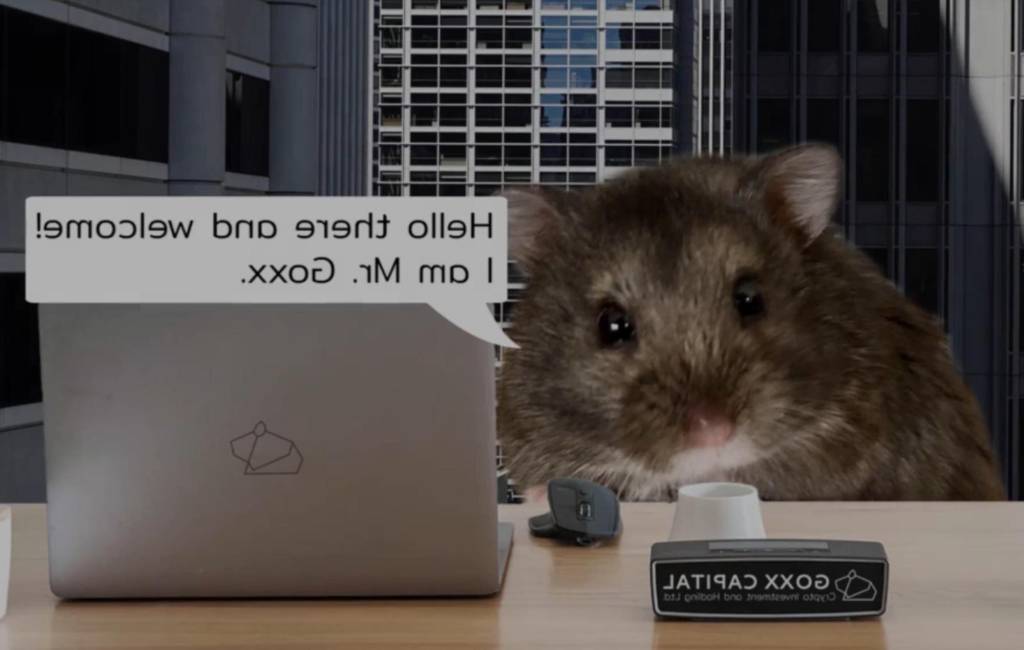 este-hamster-e-um-investidor-de-criptomoedas-casa.com-1-game-news este-hamster-e-um-investidor-de-criptomoedas-casa.com-1-game-news