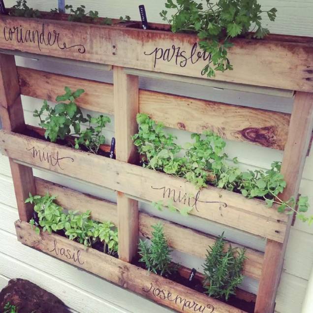 Pallet para jardim suspenso de ervas  &ndash; Voc&ecirc; vai bombar no Instagram no minuto em que postar esse jardim vertical de ervas de pallet totalmente charmosa. A artista Zina e o marido montaram um pallet completo no quintal de sua casa. As bandejas de envasamento de pl&aacute;stico se encaixam perfeitamente entre os slots. O toque final fica por conta dos nomes de ervas pintados na madeira!