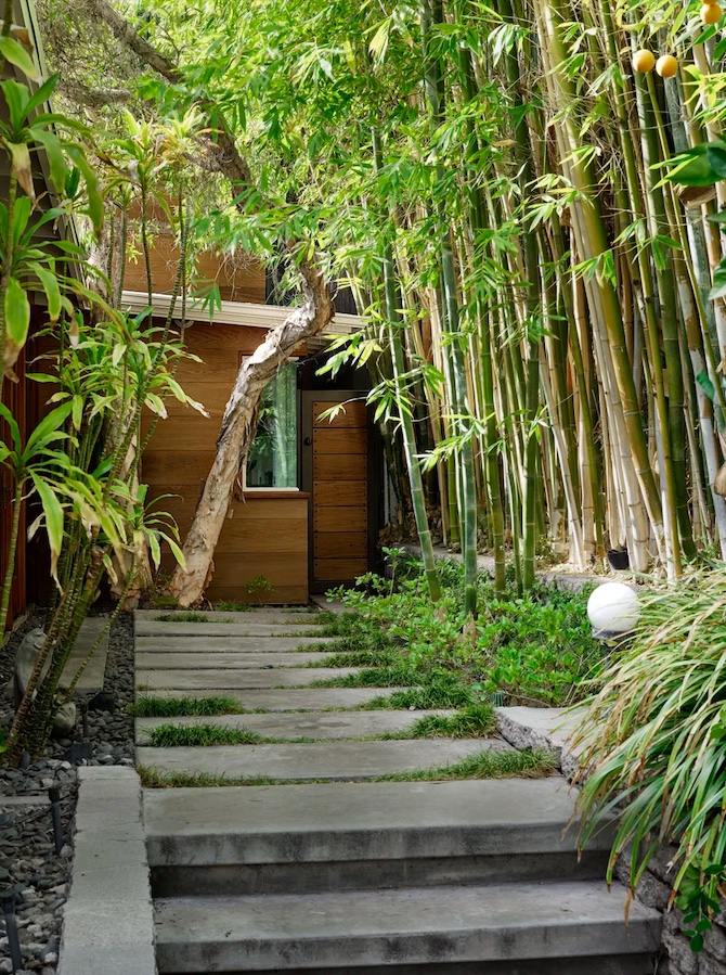 A-casa-repleta-por-madeira-de-Dakota-Johnson-12 A-casa-repleta-por-madeira-de-Dakota-Johnson-12