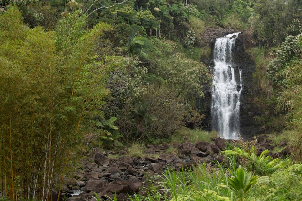 Série-Aluga-se-um-Paraíso-3-hospedagens-incríveis-no-Havaí-07