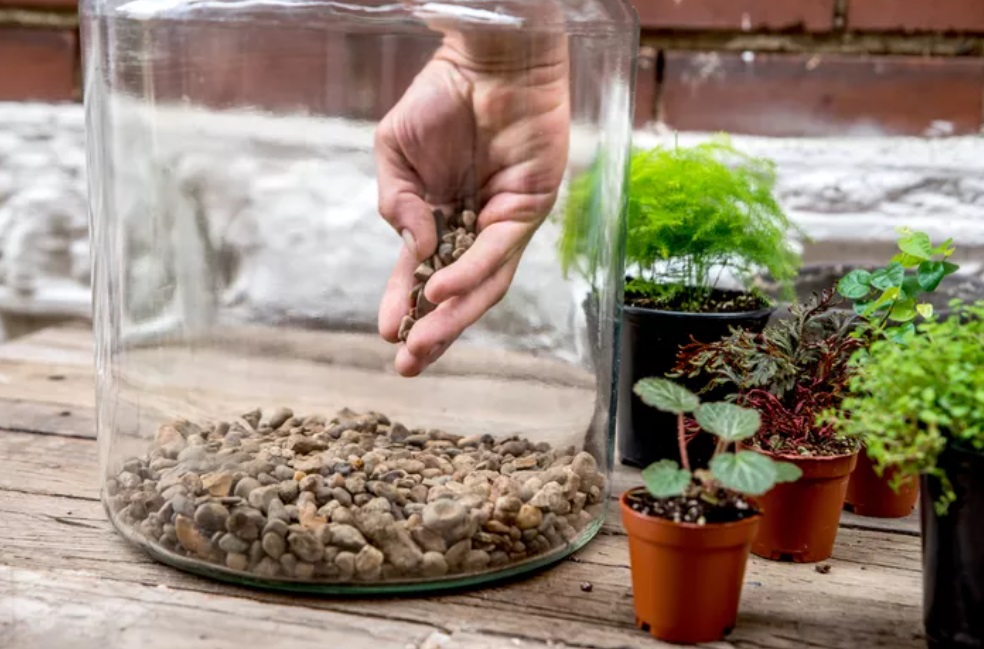 como-fazer-terrario-diy-facil- The Spruce-Adrienne Legault-04 como-fazer-terrario-diy-facil- The Spruce-Adrienne Legault-04