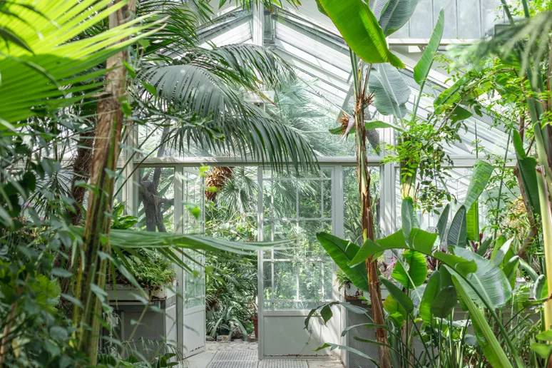 ideias-para-reaproveitar-garrafas-de-vidro-no-jardim-casa.com-treehugger-5-sanja-kostic ideias-para-reaproveitar-garrafas-de-vidro-no-jardim-casa.com-treehugger-5-sanja-kostic
