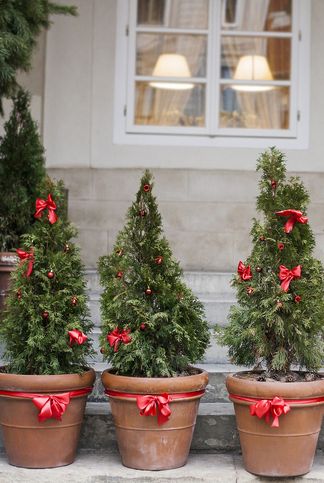 Estas mini árvores de Natal em vasos são adoráveis. Para obter um efeito semelhante – quer você coloque um na sala de estar ou alinhe um monte na varanda da frente – basta amarrar laços ao redor da borda do vaso e adicionar enfeites minúsculos.
