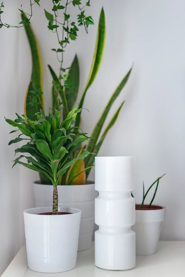 Como-não-matar-suas-plantas-se-você-for-viajar-05 Como-não-matar-suas-plantas-se-você-for-viajar