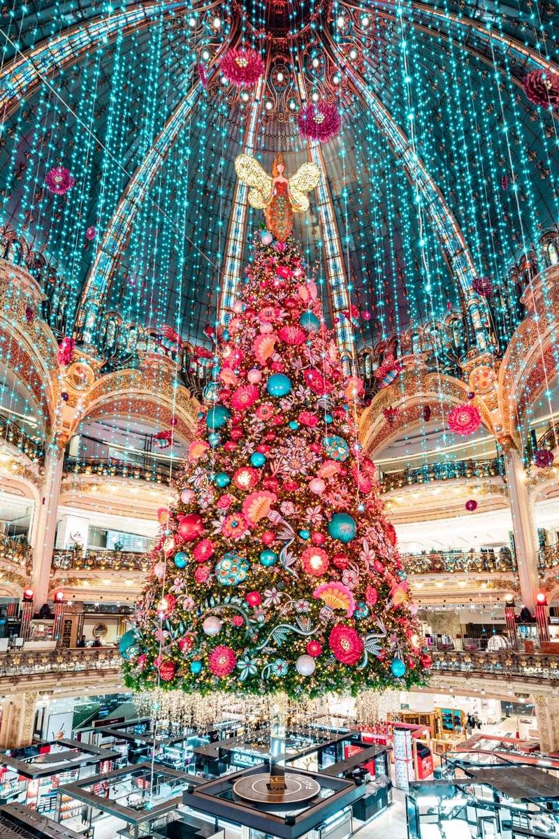 &Aacute;rvore de Natal 2019