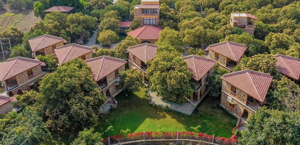 Cabanas triangulares se destacam em meio a plantação de manga