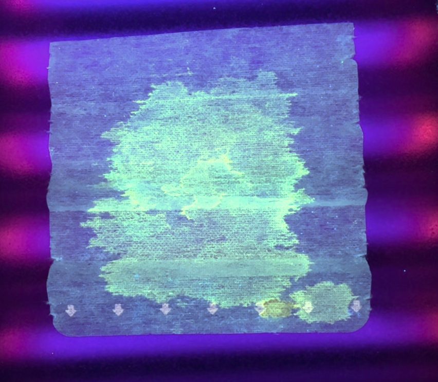 Esta máscara é feita de células de avestruz e brilha quando detecta Covid