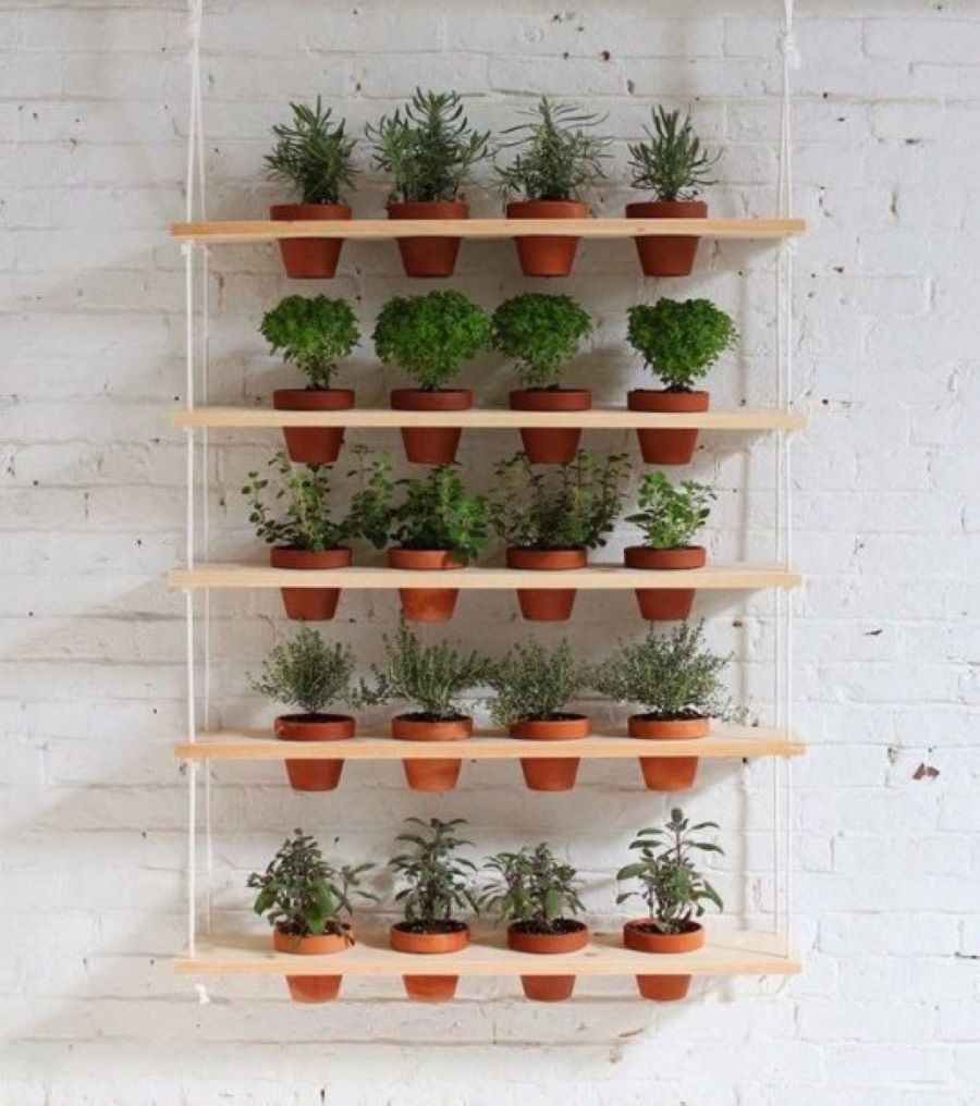 horta-suspensa-casa.com-10-pinterest horta-suspensa-casa.com-10-pinterest