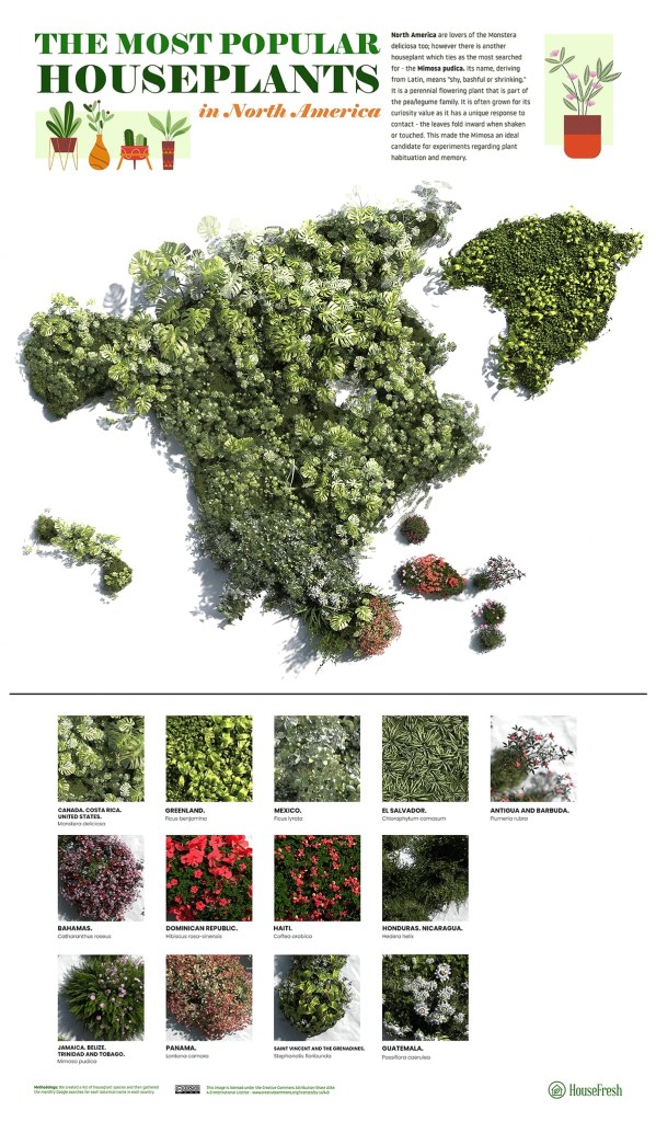 17-plantas-preferidas-de-cada-continente-casa.com-mapa-de-plantas-america-do-norte-ingles-house-fresh