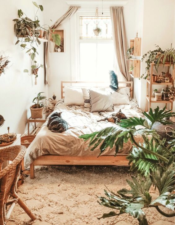 ideias-de-decoracao-para-quartos-pequenos-casa.com-digsdigs-11 Quarto com diversas mudas espalhadas